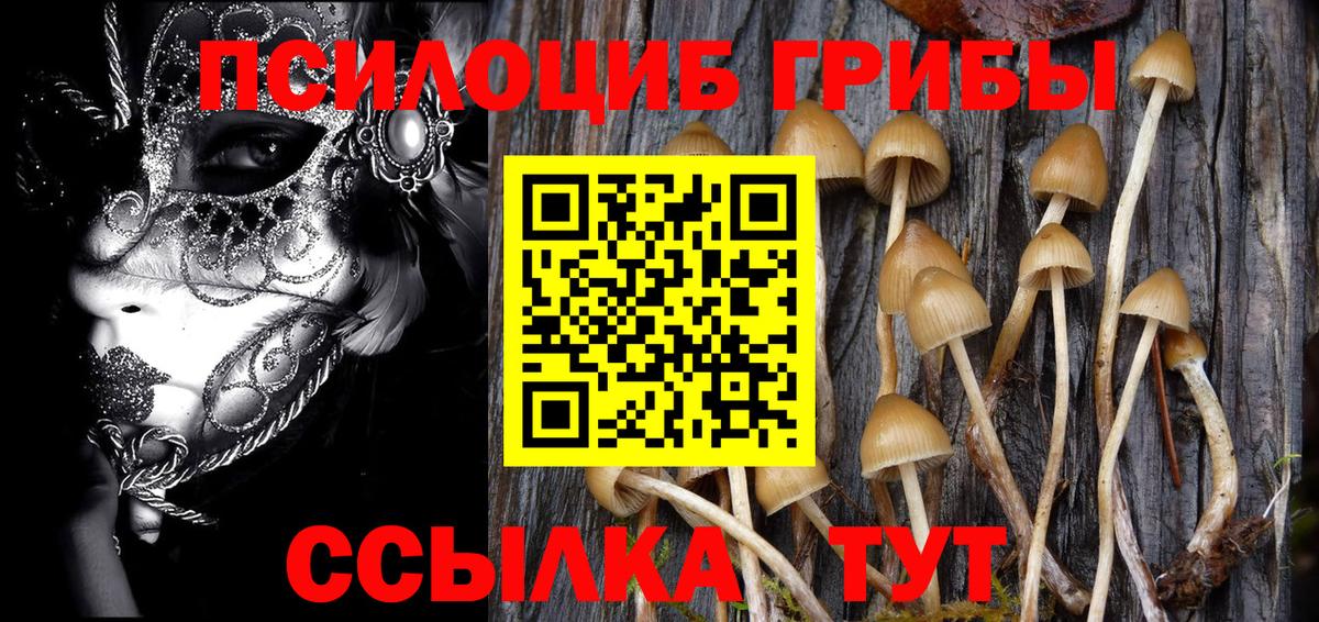 Псилоцибиновые грибы GOLDEN TEACHER Ливны