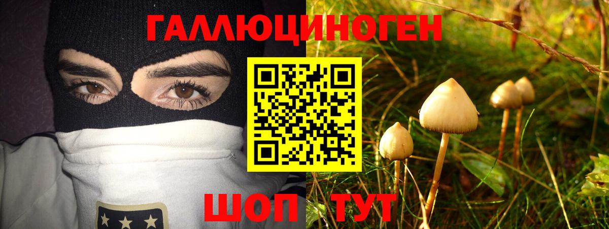 Псилоцибиновые грибы мицелий  Псилоцибиновые грибы ЛСД  Вход с VPN  Ливны 